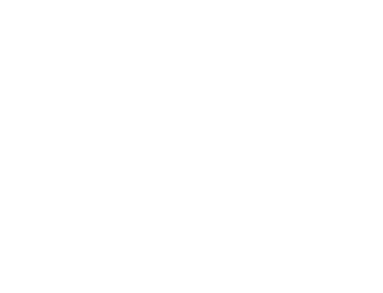 stephanis icon