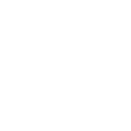 wholesale icon
